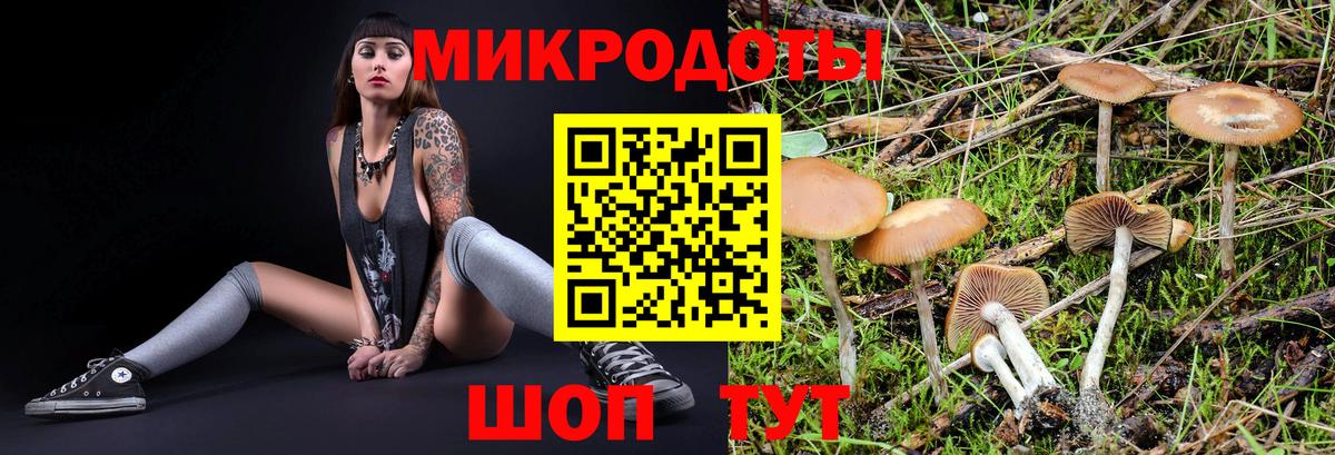 закладки  Галлюциногенные грибы GOLDEN TEACHER  Вход с VPN  Черняховск 