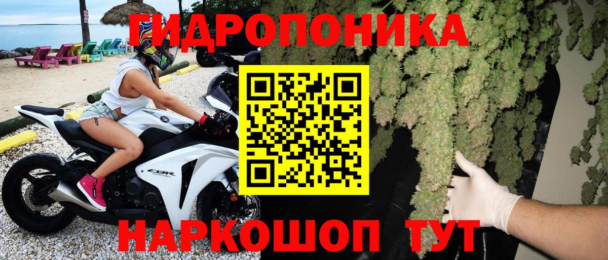 Черняховск  Канабис семена  Вход с VPN  МАРИХУАНА конопля  Каннабис гибрид 